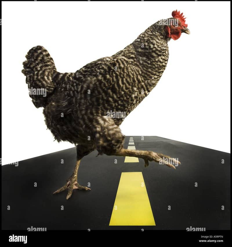 Image: Descubre el Emocionante Juego de Azar de la Ruta del Pollo en España